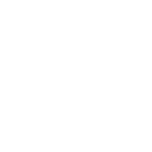 DMRC logo